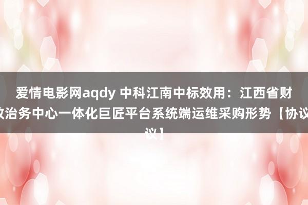 爱情电影网aqdy 中科江南中标效用：江西省财政治务中心一体化巨匠平台系统端运维采购形势【协议】