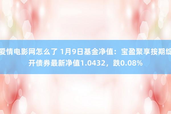 爱情电影网怎么了 1月9日基金净值：宝盈聚享按期绽开债券最新净值1.0432，跌0.08%