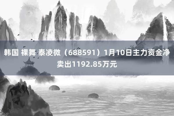 韩国 裸舞 泰凌微（688591）1月10日主力资金净卖出1192.85万元