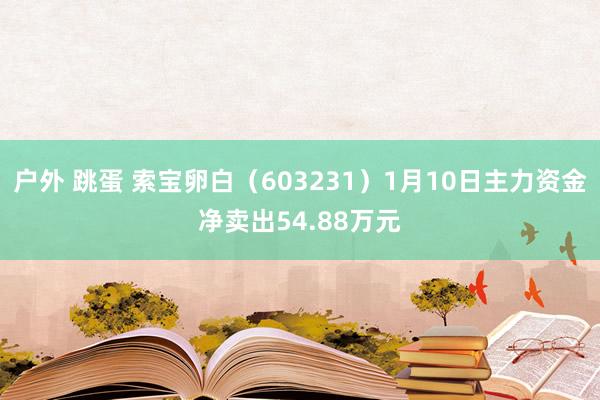 户外 跳蛋 索宝卵白（603231）1月10日主力资金净卖出54.88万元