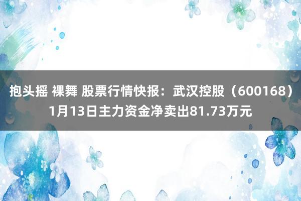 抱头摇 裸舞 股票行情快报：武汉控股（600168）1月13日主力资金净卖出81.73万元