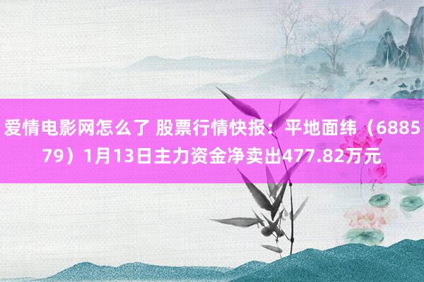 爱情电影网怎么了 股票行情快报：平地面纬（688579）1月13日主力资金净卖出477.82万元