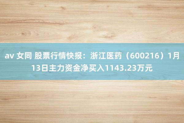 av 女同 股票行情快报：浙江医药（600216）1月13日主力资金净买入1143.23万元