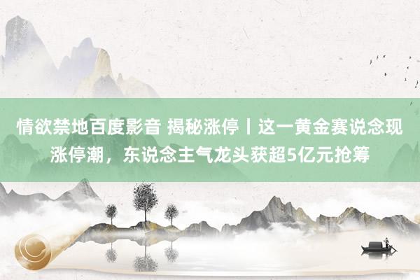 情欲禁地百度影音 揭秘涨停丨这一黄金赛说念现涨停潮，东说念主气龙头获超5亿元抢筹