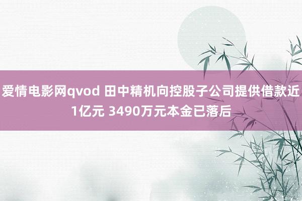 爱情电影网qvod 田中精机向控股子公司提供借款近1亿元 3490万元本金已落后