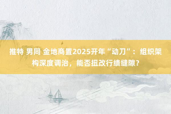 推特 男同 金地商置2025开年“动刀”：组织架构深度调治，能否扭改行绩缝隙？