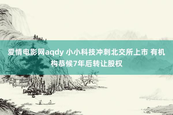 爱情电影网aqdy 小小科技冲刺北交所上市 有机构恭候7年后转让股权