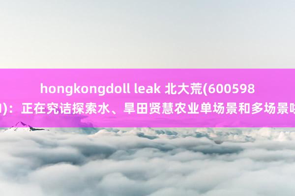 hongkongdoll leak 北大荒(600598.SH)：正在究诘探索水、旱田贤慧农业单场景和多场景哄骗