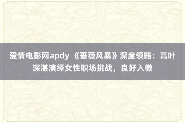 爱情电影网apdy 《蔷薇风暴》深度领略：高叶深湛演绎女性职场挑战，良好入微